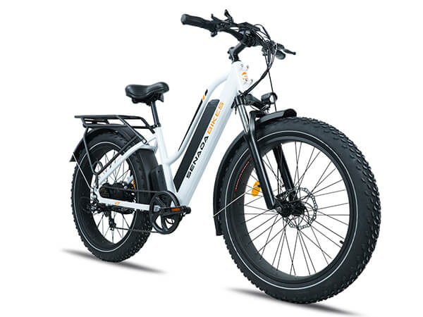 HERALD Step Thru Electric Bike