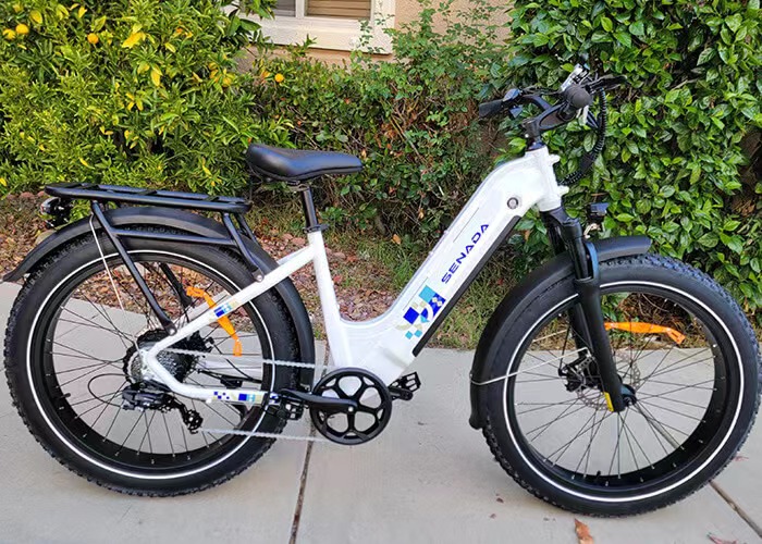 Senada Mayor Step-thru E-bike